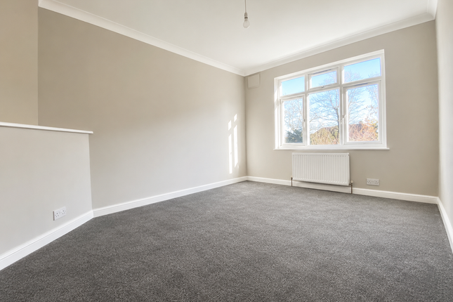 60, Orpington photo 5