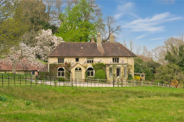 Thumbnail Detached house to rent in Roundhurst, Haslemere, Surrey
