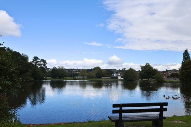 Naas Lane, Lydney photo 3