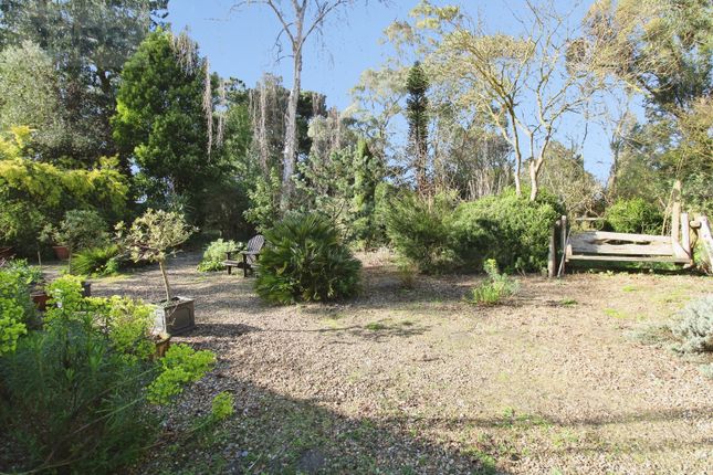 Peach Cottage, Tunstall Road, Iken photo 3