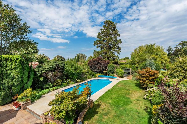Garden View.Jpg