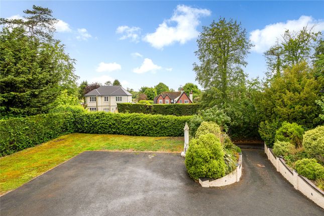 White Cottage,, Chalk Lane, Leatherhead photo 2