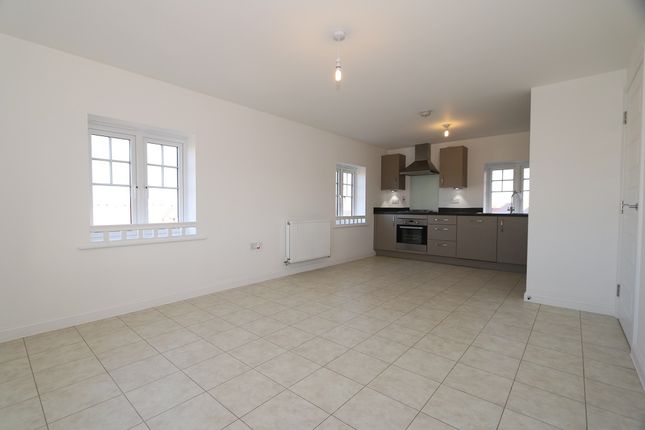 36, Danegeld Avenue, Great Denham photo 4