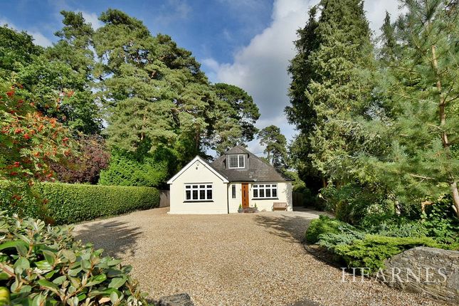 Detached bungalow for sale in Pinewood Road, Ferndown