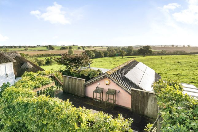 Stillwood, 3, Olivers Cottage, Clyst Honiton photo 3