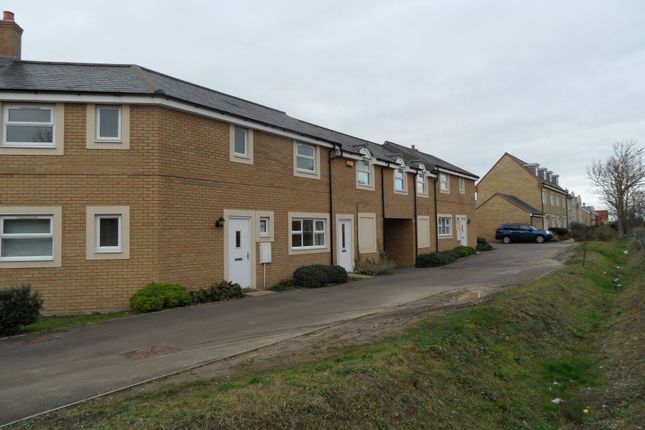 Thumbnail Terraced house to rent in Foxhollow, Great Cambourne, Cambridge