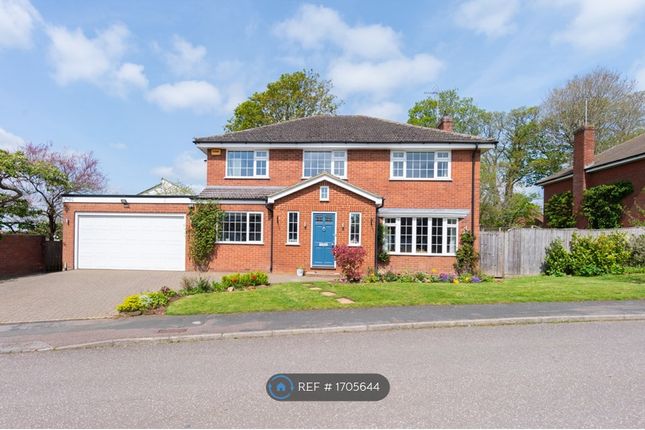 Thumbnail Detached house to rent in Tythe Close, Stewkley, Buckinghamshire