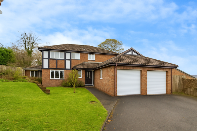 Chatgpt Image Nov 14, 2025, 02_03_44 Pm