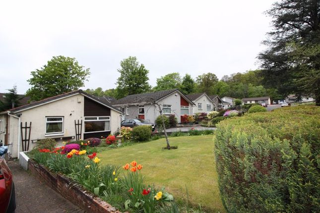 Thumbnail Detached bungalow for sale in Forrester Grove, Alloa