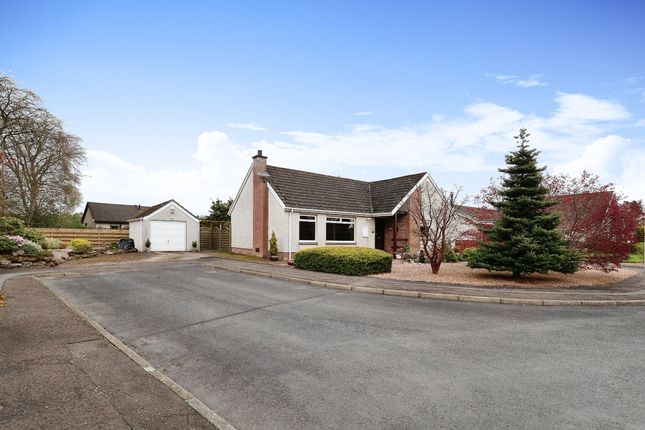 Thumbnail Bungalow for sale in Angle Park Crescent, Northmuir, Kirriemuir, Angus