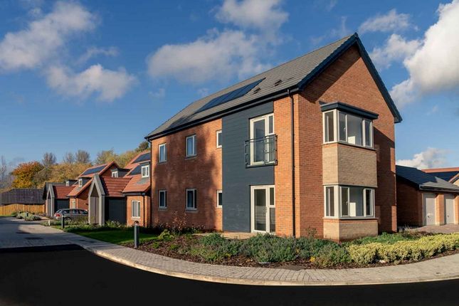 Thumbnail Property for sale in Bluebell Road, Eaton, Norwich