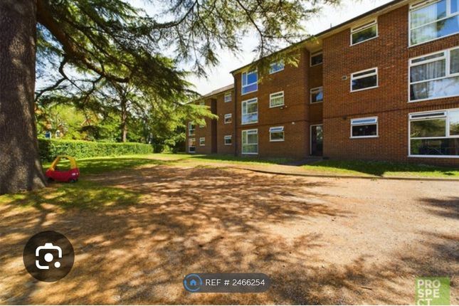 Building Next Bus Stop