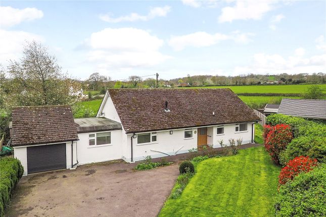 Bungalow for sale in Stroud End, Stroud, Petersfield, Hampshire