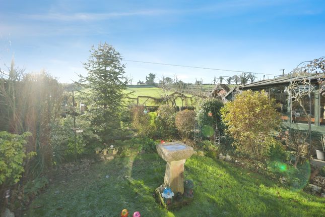3, Sycamore Cottages, Ashbourne photo 3