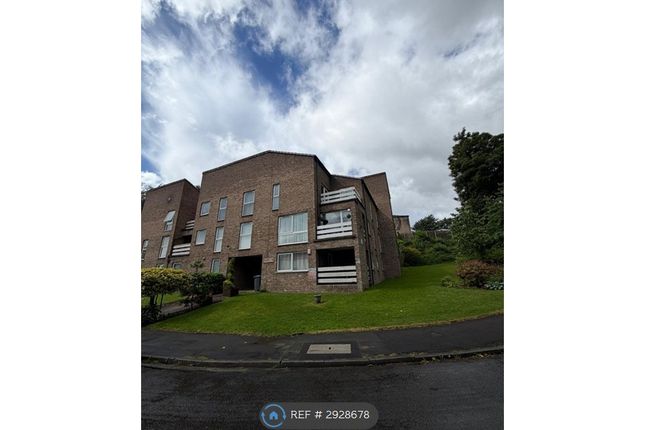 Frizley Gardens, Bradford photo 3