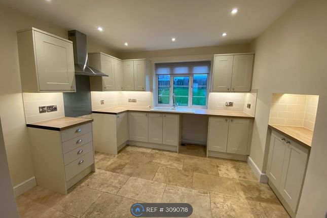 Linkenholt, Andover photo 5