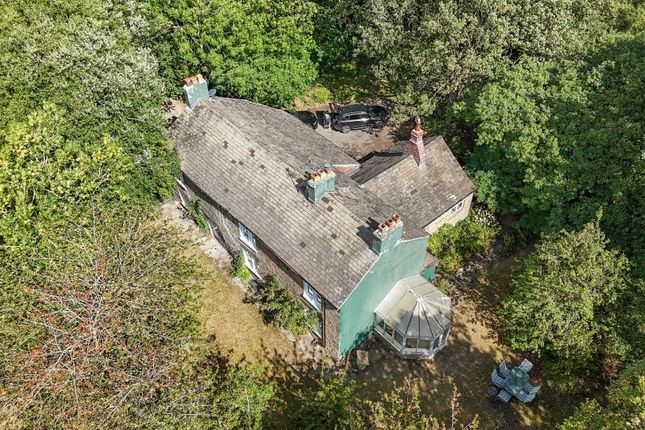 2025-08-26 12.08.21_1.Jpg