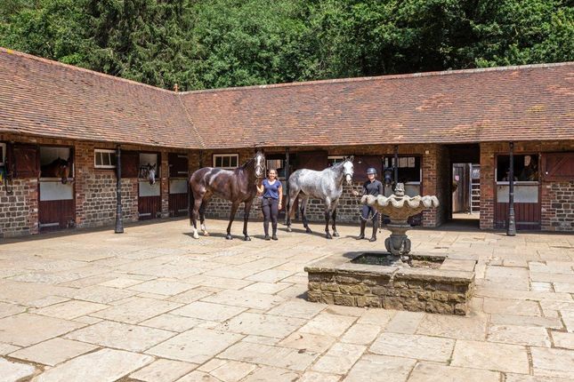 Coneycroft Farm Stables,, Down Lane, Guildford photo 4