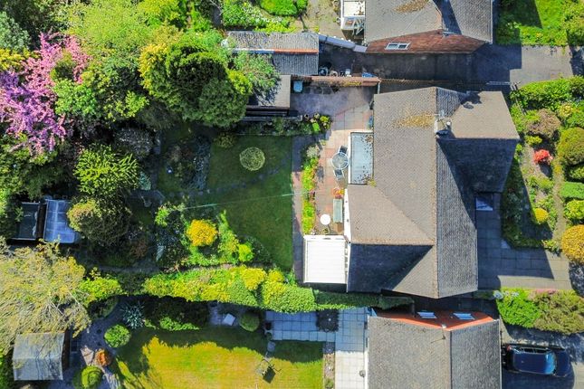 63 The Avenue, St. Helens photo 3