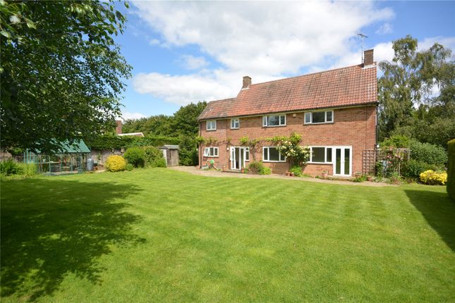 Thumbnail Detached house to rent in Cow Watering Lane, Writtle