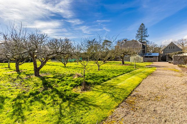 Bx1A9640 - Small (Orchard).Jpg