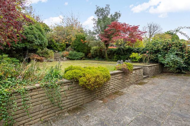 3, Spurgeon Avenue, London photo 2