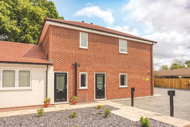 2025-06-03 11.55.05-1_Hdr.Jpg