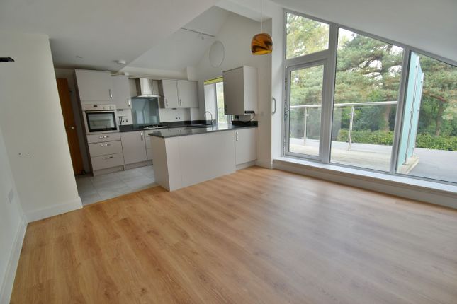 New Road, Ferndown photo 3