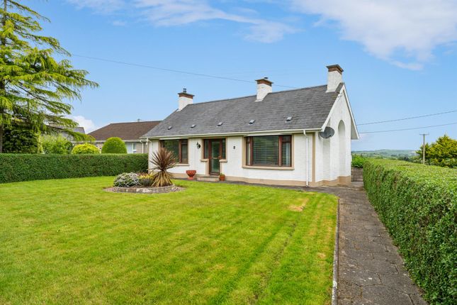 Thumbnail Detached bungalow for sale in Brae Road, Ballynahinch