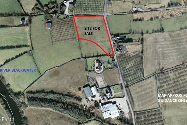 Thumbnail Property for sale in Clonmore Road, Dungannon