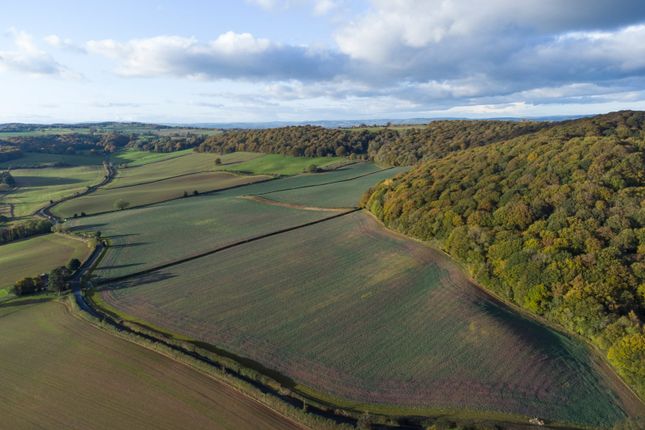 Land for sale in Brinsop, Hereford, Herefordshire
