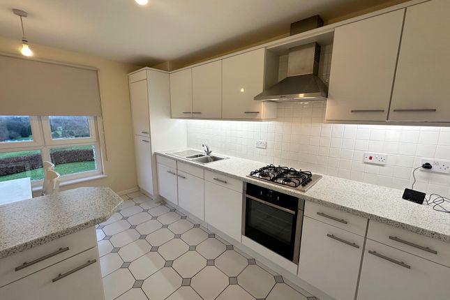 Flat to rent in The Paddock, Hamilton