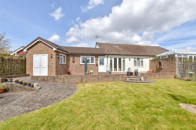 Chester Avenue, Hawkenbury photo 2