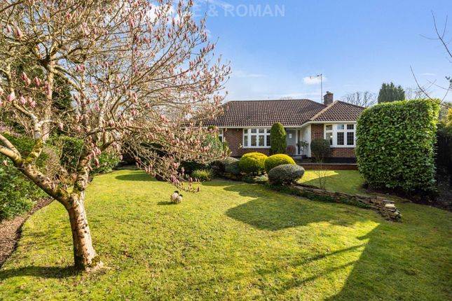 Thumbnail Bungalow for sale in Lower Village Road, Ascot