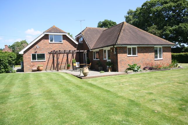 Commercial Property For Rent In Herstmonceux Commercial Property For Rent In Herstmonceux