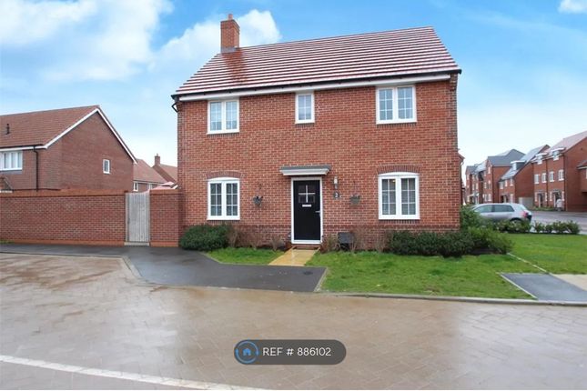 Thumbnail Detached house to rent in Aster Close, Didcot