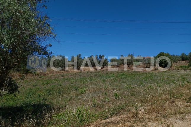 Land for sale in Carril, Serra E Junceira, Tomar