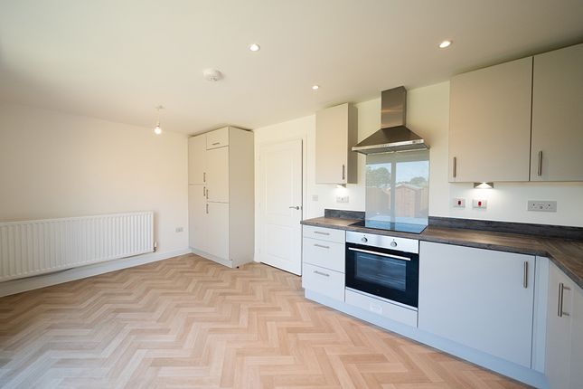 Plot 34 West Kent @ Preston Fields, Faversham photo 4