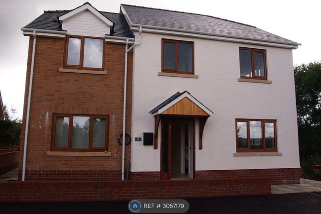 6-bed detached on Caer Wylan, Aberystwyth, £2,970/mo