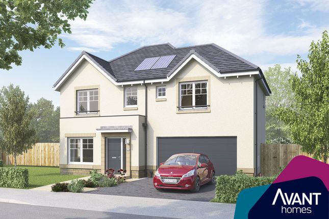 Detached house for sale in "The Westbury" at Sycamore Drive, Penicuik