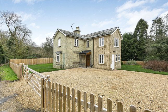 Thumbnail Detached house for sale in Wild Hill, Essendon, Hertfordshire