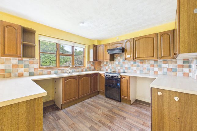 Hobsons,, High Bullen, Devon photo 4