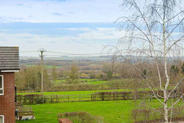 10, Wheatfields, Ashford photo 4