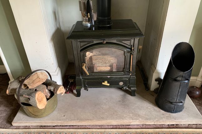 Reception Room 1 - Effel Multi-Fuel Stove