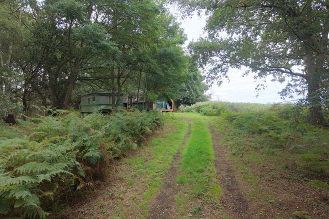 The Spinney,, Dock Farm Road, Woodbridge photo 2