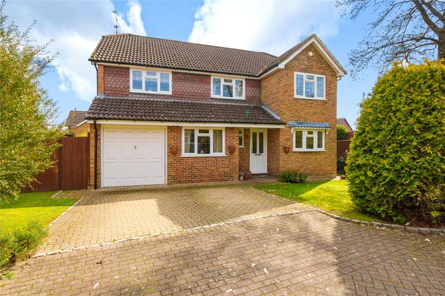 Thumbnail Detached house for sale in Lightwater, Surrey