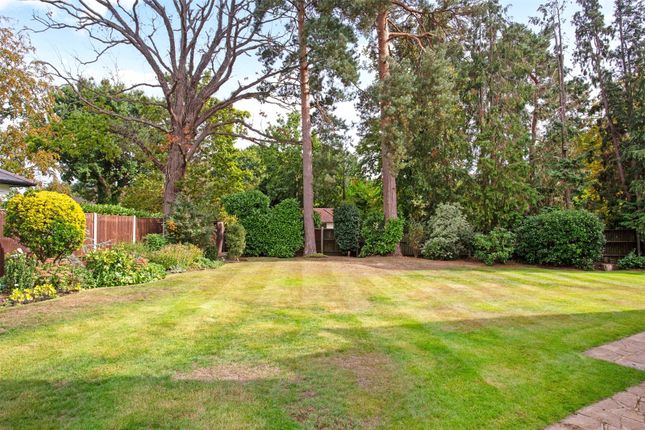 The Spinney,, Oak End Way, Woodham photo 4