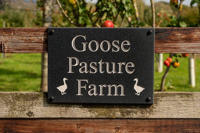 Goose Pastures Farm,, College Farm Road, Oakham photo 2
