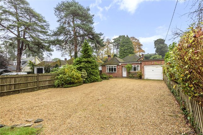Thumbnail Bungalow for sale in Curley Hill Road, Lightwater, Surrey