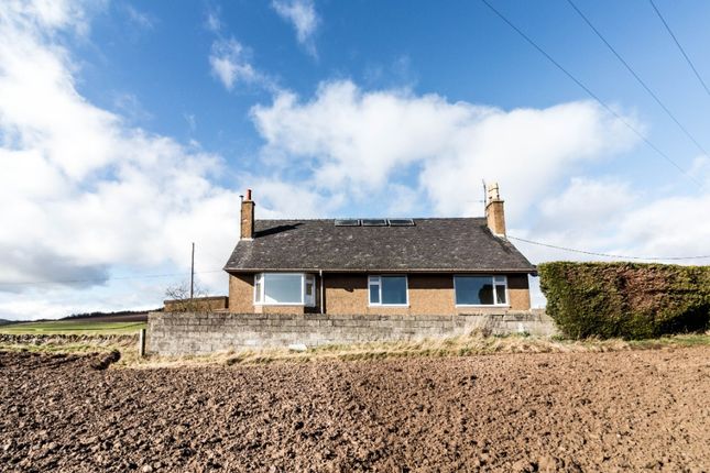 Thumbnail Property to rent in Middle Brighty Farm, Angus